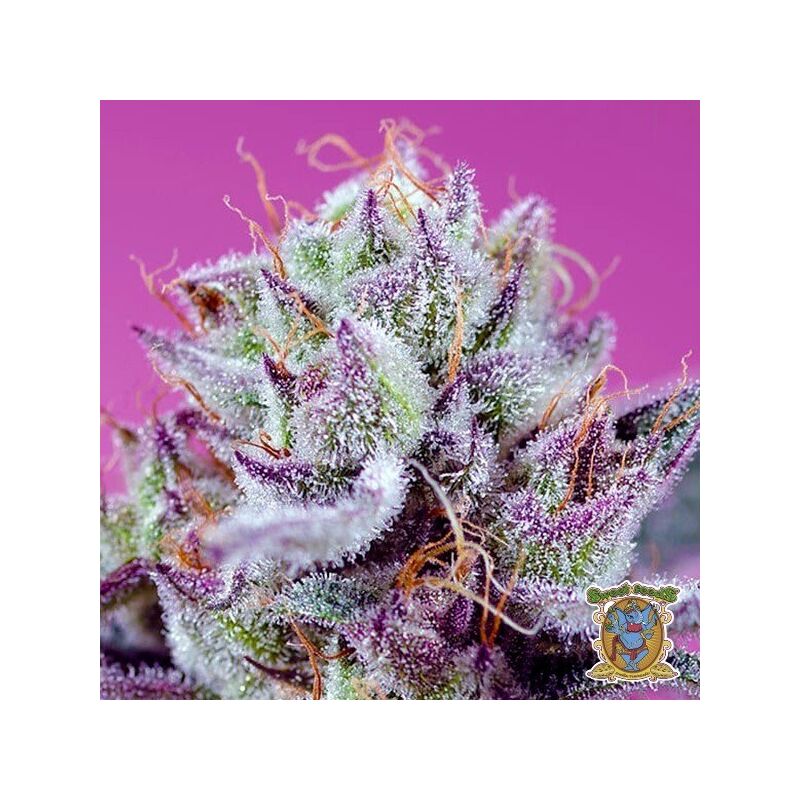 Fruity & Delicious Mix, Фасовка: 4, изображение 3